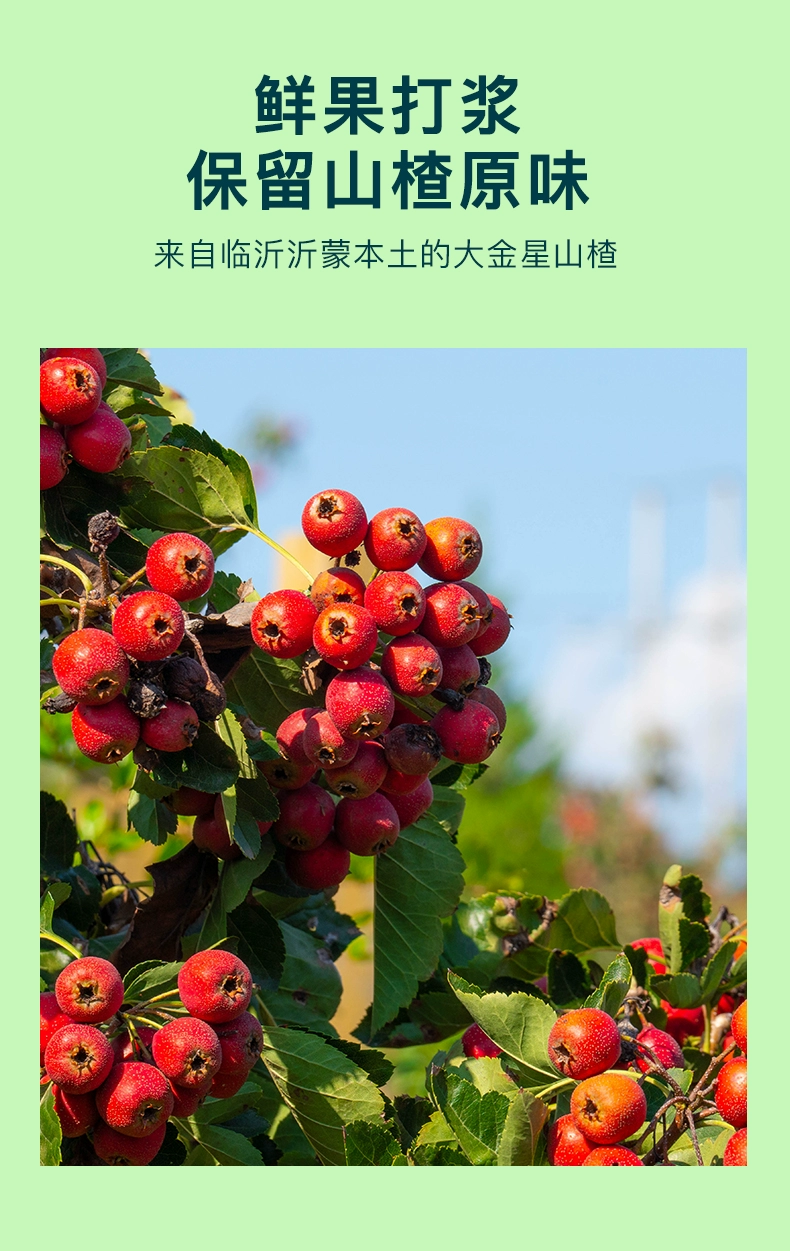 天然无添加，沂蒙公社 生肖山楂棒棒糖 500g 19.9元包邮 值值值-买手聚集的地方