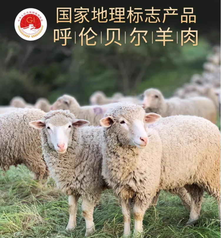 百胜中国旗下，小肥羊 地标产品呼伦贝尔原切羔羊羊蝎子1.25kg 史低89元顺丰包邮（另有羊排/羊后腿） 值值值-买手聚集的地方