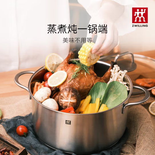 ZWILLING 双立人 Twin Nova Plus 不锈钢汤锅 24cm 赠双立人防烫手套1对 新低259.2元包邮 值值值-买手聚集的地方