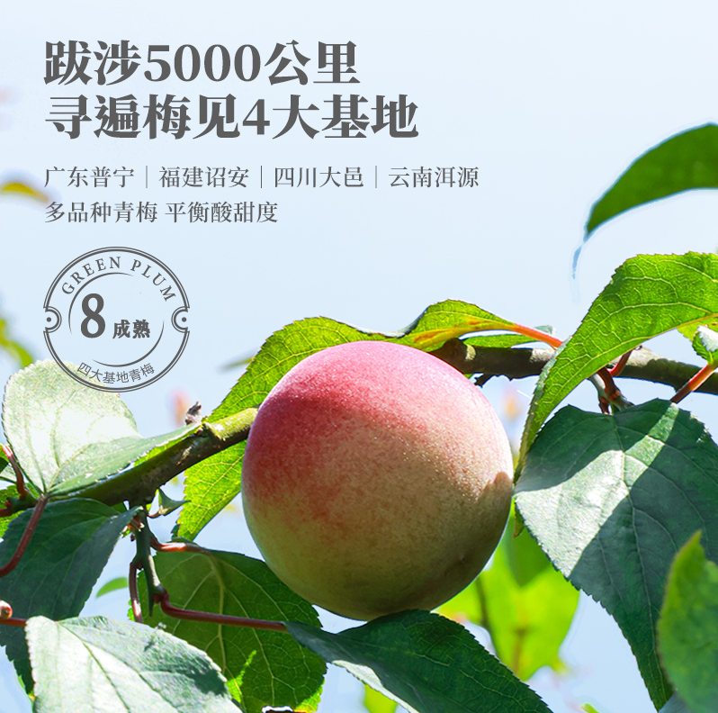 梅见 新品超酸版12度青梅酒 330mL*2瓶 50元包邮（25元/瓶） 值值值-买手聚集的地方