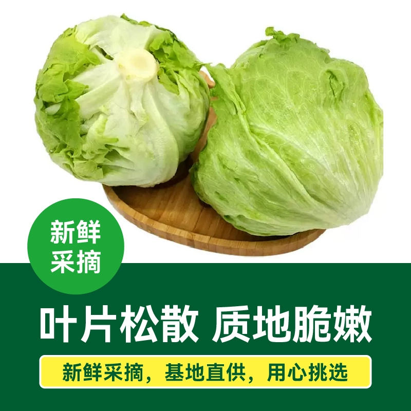 北京奥运会食材供应商，绿行者 出口级球形生菜 4斤 29.9元包邮 值值值-买手聚集的地方