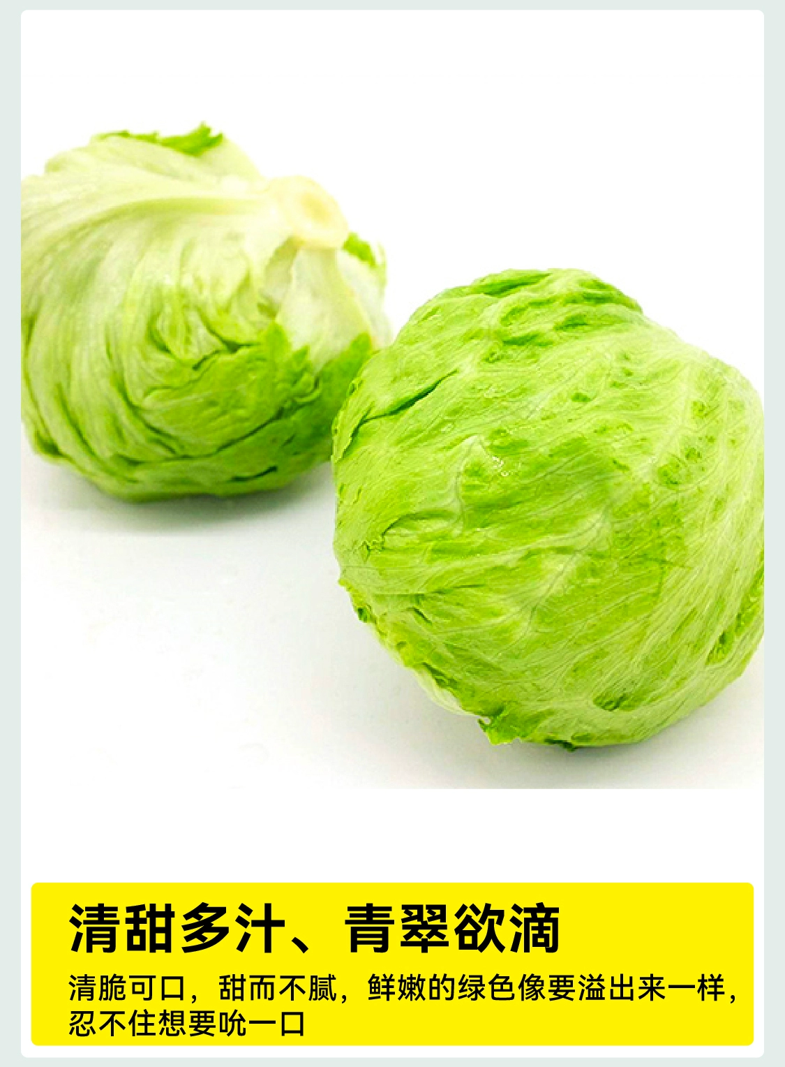 北京奥运会食材供应商，绿行者 出口级球形生菜 4斤 29.9元包邮 值值值-买手聚集的地方