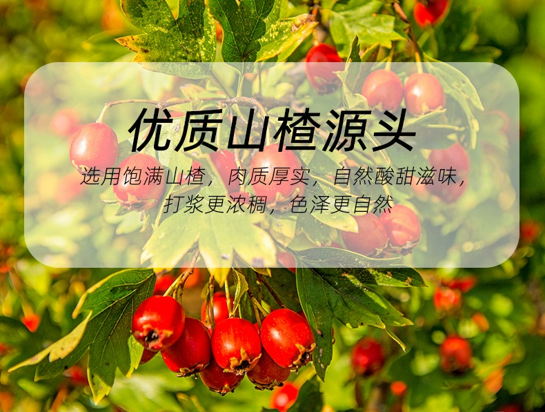 薛记炒货 酵素山楂糕 100g*4袋 19.6元包邮 值值值-买手聚集的地方