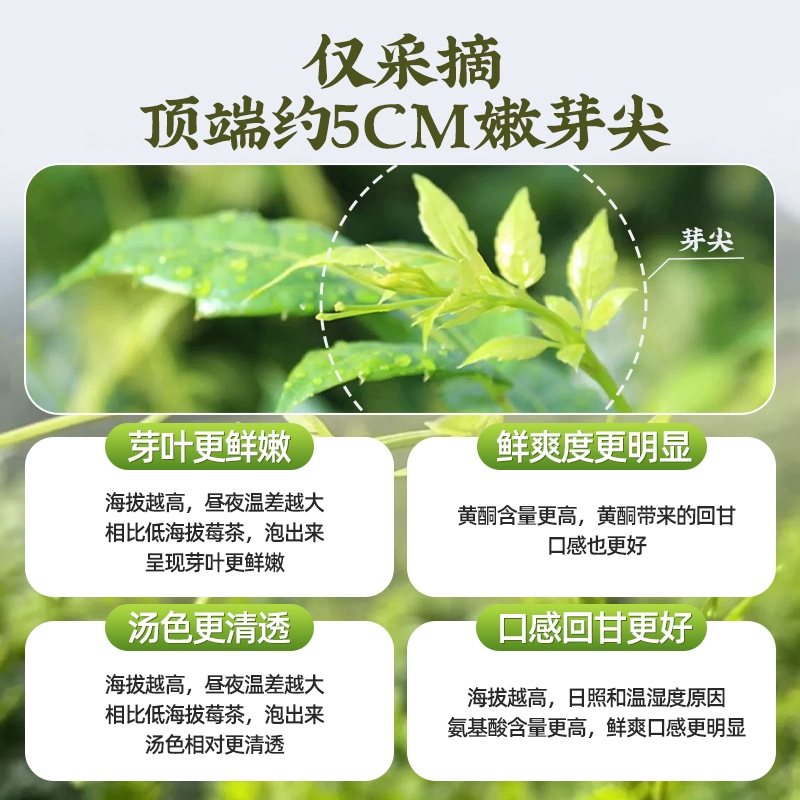 福东海 张家界莓茶 35g 25元包邮 值值值-买手聚集的地方