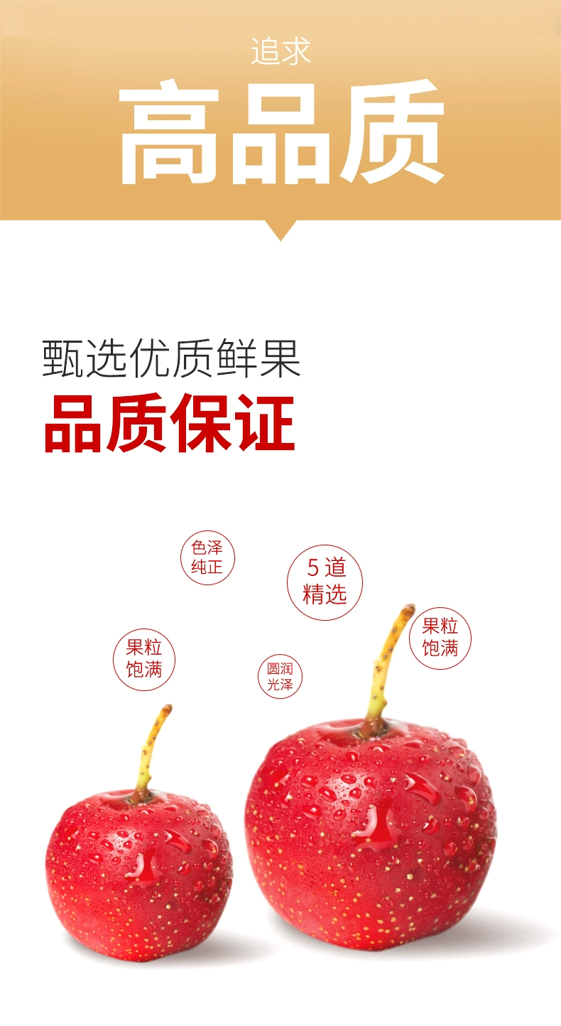 薛记炒货 原味/桑葚山楂条 200g*3袋 17.9元包邮 值值值-买手聚集的地方