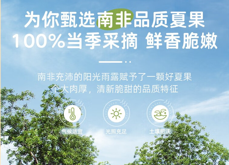 洽洽 330°大开口 南非夏威夷果 罐装500g*2罐 43.9元包邮（21.9元/罐） 值值值-买手聚集的地方
