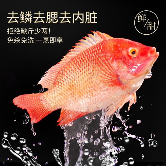 品珍鲜活 三去净膛红星斑 净重450g/条 *2条 49元包邮 值值值-买手聚集的地方