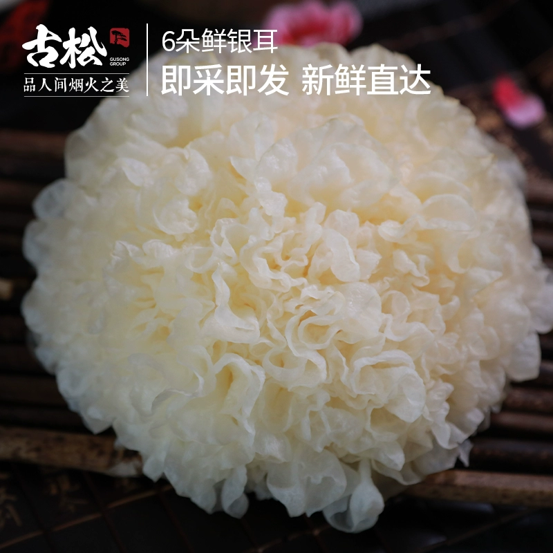 古松 新鲜银耳白木耳鲜活雪耳 6朵/700g 18.9元顺丰包邮 值值值-买手聚集的地方