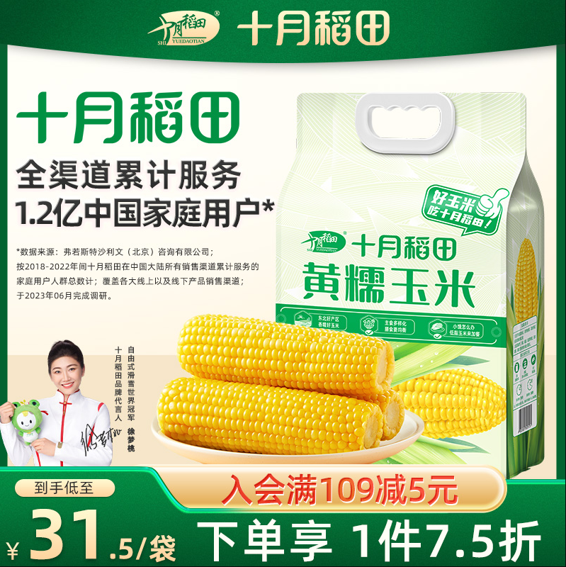 十月稻田 真空黄糯白糯黑糯玉米棒 220g/260g*8根同价 29.9元包邮（百亿补贴） 值值值-买手聚集的地方