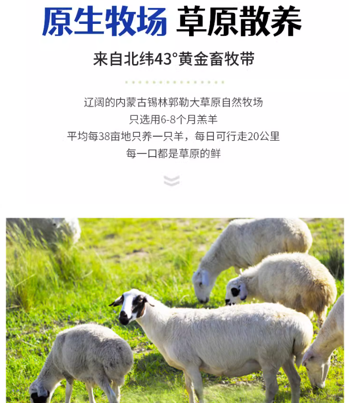 国家地理标志产品，沁牧青格尔 内蒙锡盟新鲜羊肉串 80串/800g 129元顺丰包邮 值值值-买手聚集的地方