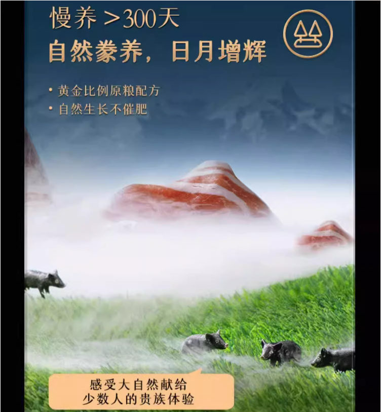 生态原产地产品保护，高金 庄园黑 100%黑猪肉午餐肉 250g+赠50g 18.9元包邮 值值值-买手聚集的地方