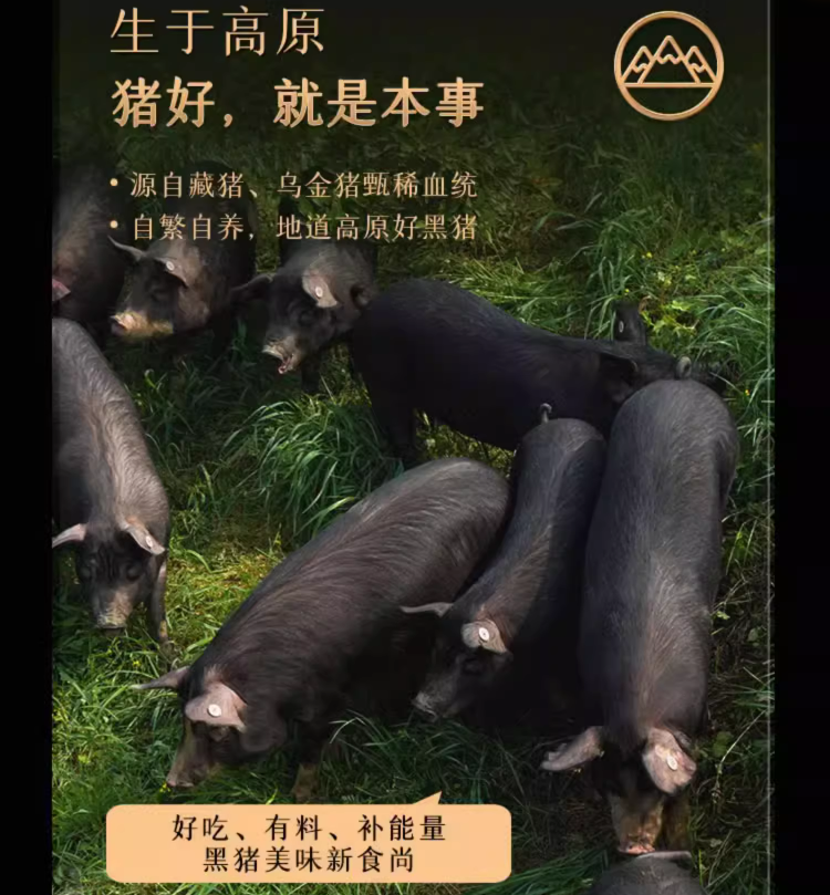 生态原产地产品保护，高金 庄园黑 100%黑猪肉午餐肉 250g+赠50g 18.9元包邮 值值值-买手聚集的地方
