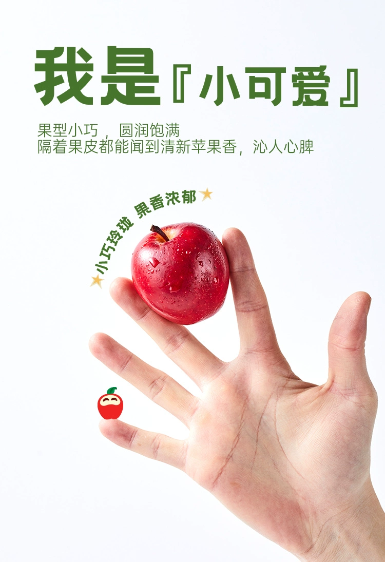 Rockit 乐淇 新西兰进口苹果礼盒装 5颗/筒装 245g*3筒 新低89元包邮（29.66元/筒） 值值值-买手聚集的地方