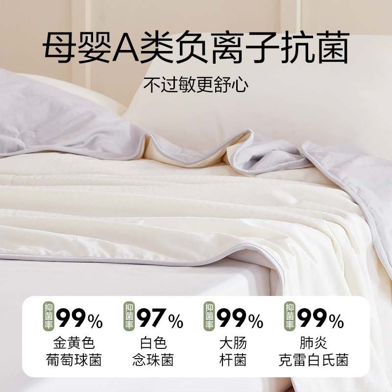 网易严选 A类负离子抗菌小提花大豆被 69元起包邮 值值值-买手聚集的地方