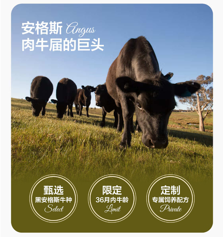 京东超市 海外直采 澳洲原切谷饲黑安格斯牛腱肉 1.6kg（内含2小袋） 85.9元包邮（26.8元/斤） 值值值-买手聚集的地方