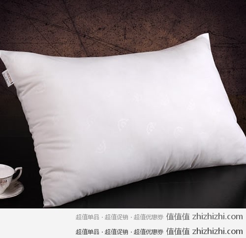 博洋家纺 BEYOND W91114111102 舒眠枕 易迅网（上海站&湖北站）价格￥29