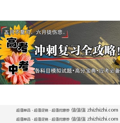 99网上书城：五月不复习 六月徒伤悲 高考 中考 冲刺复习全攻略 