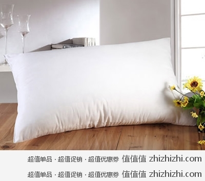 博洋家纺 BEYOND 时尚清新枕 亚马逊中国报价39包邮