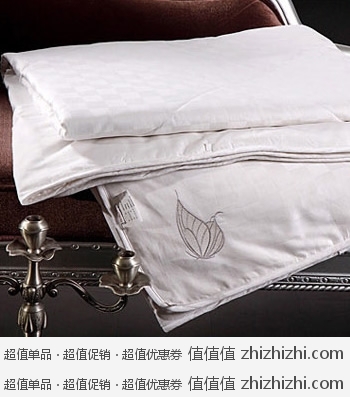 博洋家纺 BEYOND 恬雅蚕丝被+ 博洋家纺 迷你腰枕 易迅网（上海站&湖北站）报价478+28=506，下单立减250，实付价格256