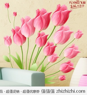 郁金香 可移除墙贴纸  天猫价格9.9 包邮 