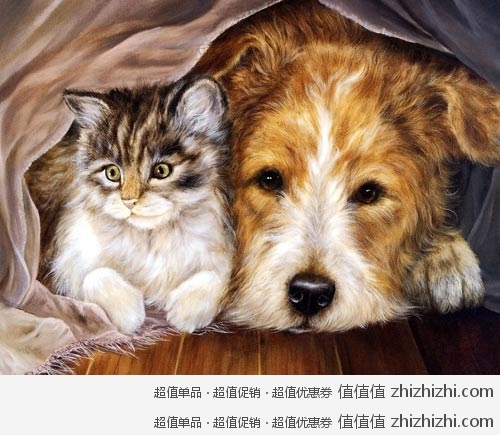 亚马逊中国宠物用品优惠券199-40，关爱猫猫狗狗满199减40元，至7月31日有效