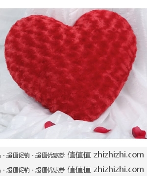 博洋家纺爱心抱枕靠枕  苏宁易购20.8包邮