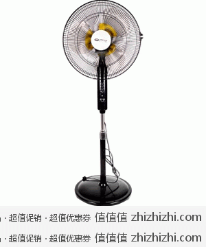 先锋 singfun  FD-4045 双风叶 落地扇  易迅网广东站报价99