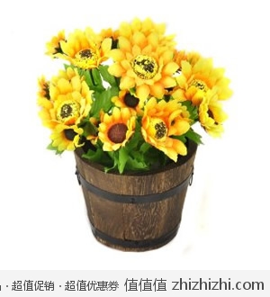 潇品光触媒-开心太阳花仿真花  亚马逊中国Z秒杀49包邮