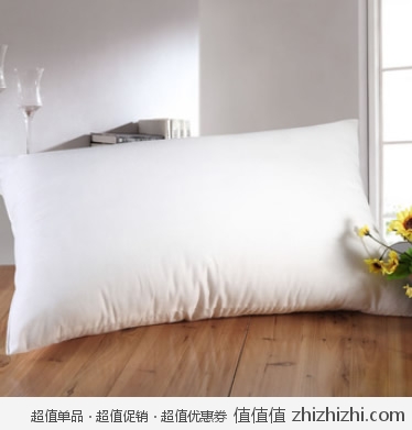 博洋家纺 BEYOND 舒爽枕/枕芯  京东商城价格29