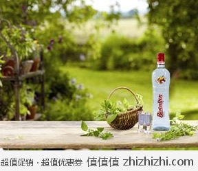 清仓价：20°德国百人城桃子酒700ml 酒仙网价格76