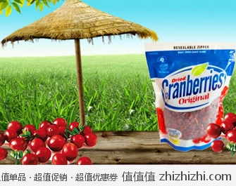 ACfarm 美加农场 蔓越莓干（400g） 一号店团购价格39包邮