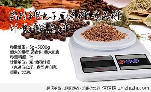 dianzicheng