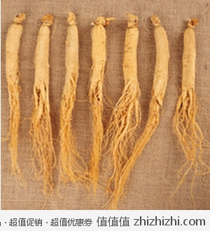 长白山人参 生晒参1颗25G 天猫30包邮 买2份送灵芝片 买5送1 买10送3