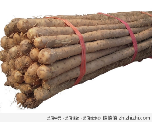 shanyao