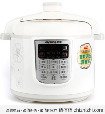 九阳 JOYOUNG JYY-50YS81 电压力煲（5L/双胆） 京东商城价格299包邮