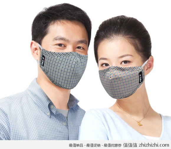 绿盾 PM2.5 抗菌防尘口罩 蓝灰格/F/春夏塑料装 易迅网北京仓价格19.8