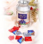 瑞士 Lindt 瑞士莲 精选炫银牛奶罐巧克力礼盒223g 京东商城价格98包邮