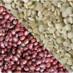 2013纯天然红豆薏仁营养早餐粉250g 淘宝网9.9包邮