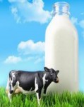 欧德堡 Oldenburger 进口脱脂牛奶 1L*12瓶 京东商城价格149.9包邮