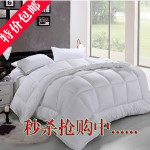 雪尼尔家纺双人春秋被被芯 淘宝网69.3包邮
