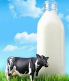 欧德堡 Oldenburger 超高温处理全脂纯牛奶 200ml*20盒 京东商城价格84.8包邮