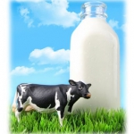 欧德堡 Oldenburger 超高温处理全脂纯牛奶 200ml  一号店价格4.99，买一送一，<font color=#94000c>折合2.5元/盒！</font>