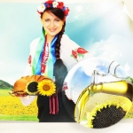 乌克兰乡村葵花籽油 1L 京东商城价格39包邮，赠原品一件，<font color=#94000c>折合19.5元/瓶！</font>