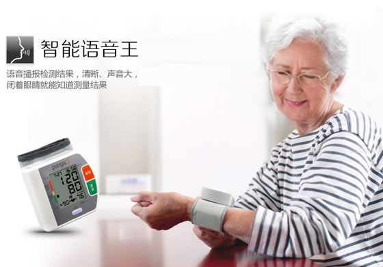 攀高PG—800A5电子血压计