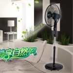 先锋 FS40-10AREC(DD1219) 遥控落地扇 京东商城价格139（原价159，下单减20）