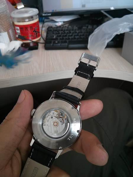 海鸥D101机械表