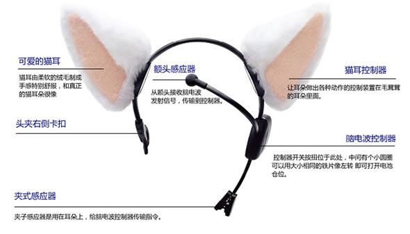 猫的秘密意念猫耳