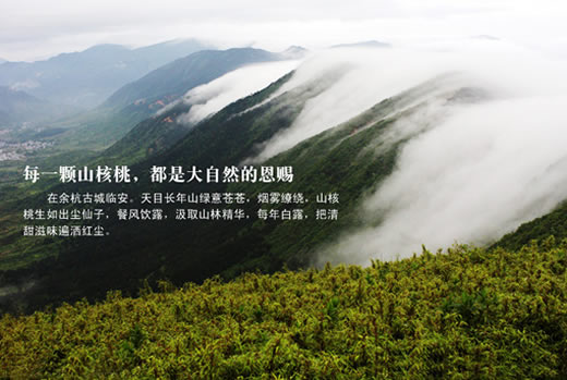大胖小瘦奶油味山核桃