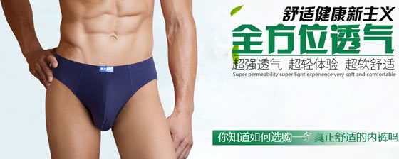 北极绒莫代尔男士三角裤