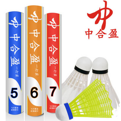 中合盈羽毛球
